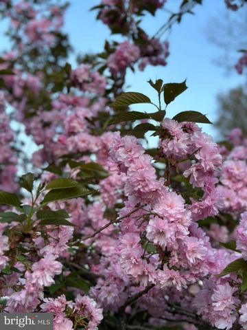 526 EGYPT RD, Phoenixville, PA 19460