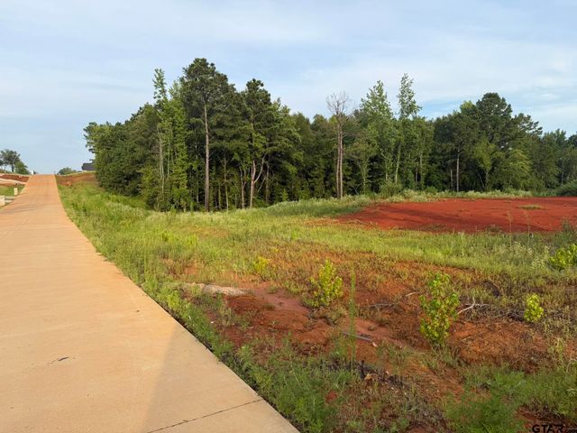 12335 Oak Grove Drive, Tyler, TX 75706