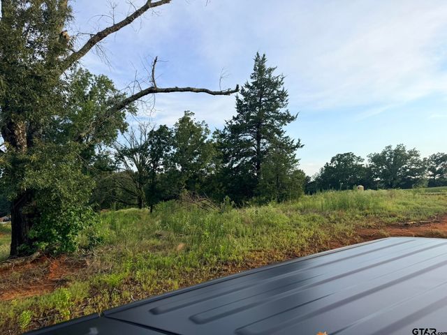 12335 Oak Grove Drive, Tyler, TX 75706