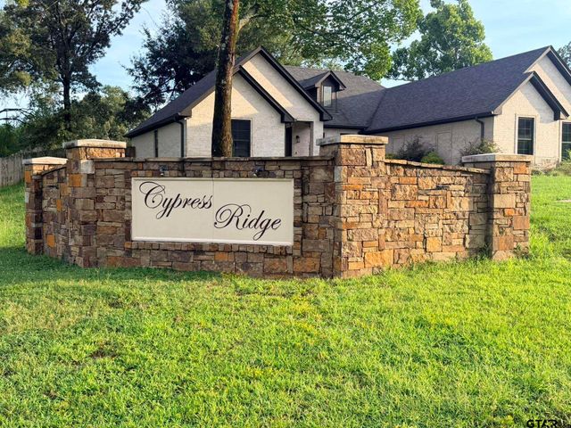 12335 Oak Grove Drive, Tyler, TX 75706