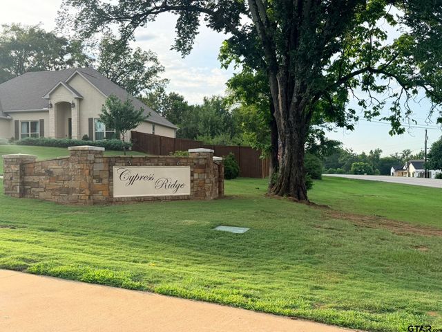 12335 Oak Grove Drive, Tyler, TX 75706