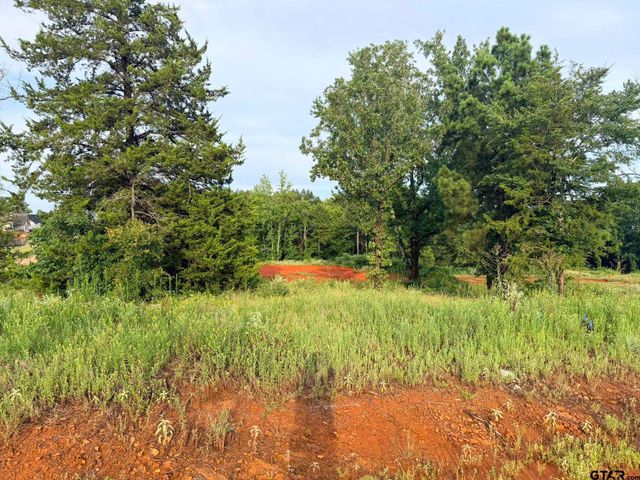 12335 Oak Grove Drive, Tyler, TX 75706