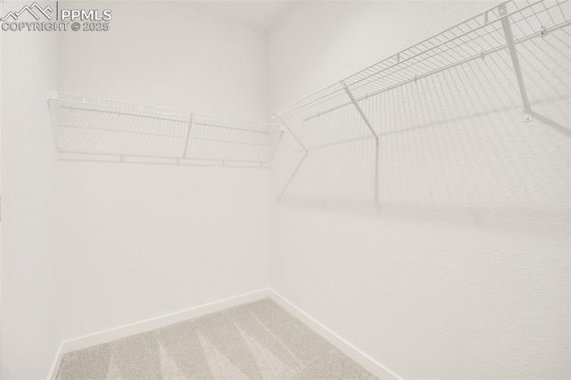 8156 Manor House Way, Colorado Springs, CO 80908