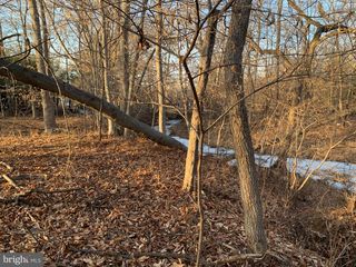 Lot 6 TAYLORSVILLE ROAD, Washington Crossing, PA 18977