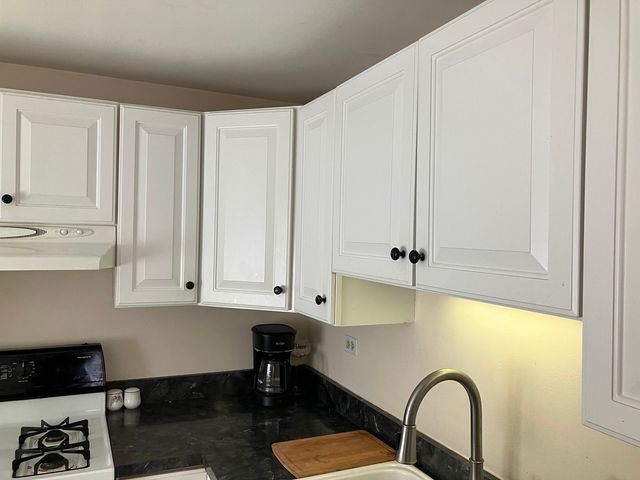 1436 Millbrook Court 1436, Schaumburg, IL 60193