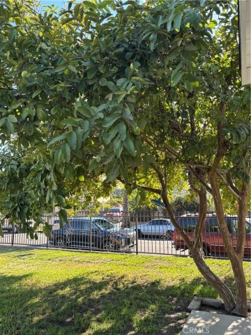 6537 San Miguel, Paramount, CA 90723