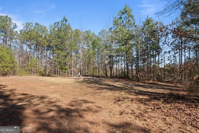 568 Martin Mill Road, Moreland, GA 30259