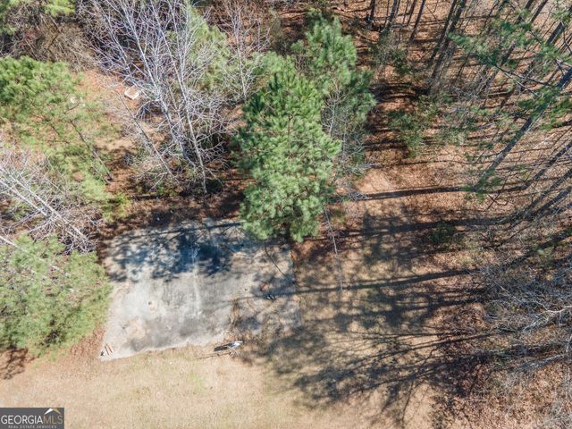 568 Martin Mill Road, Moreland, GA 30259