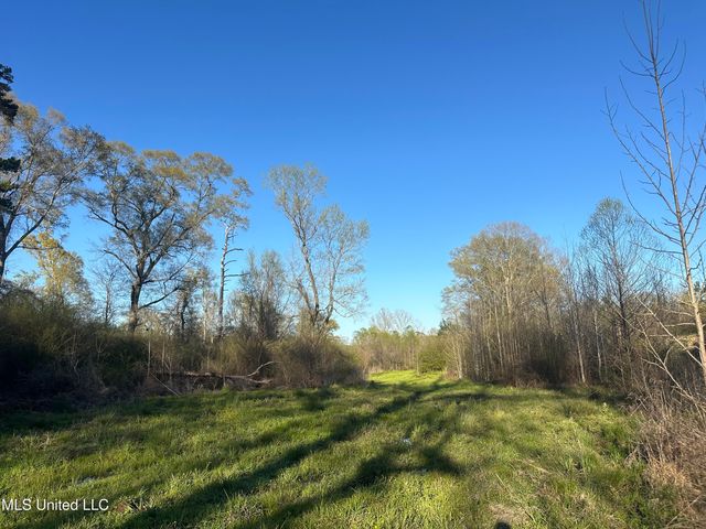 1057 Wesson Game Ln Lane, Wesson, MS 39191