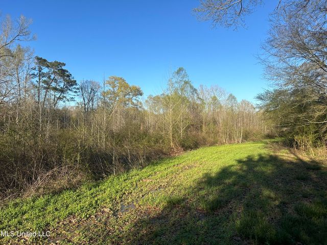 1057 Wesson Game Ln Lane, Wesson, MS 39191