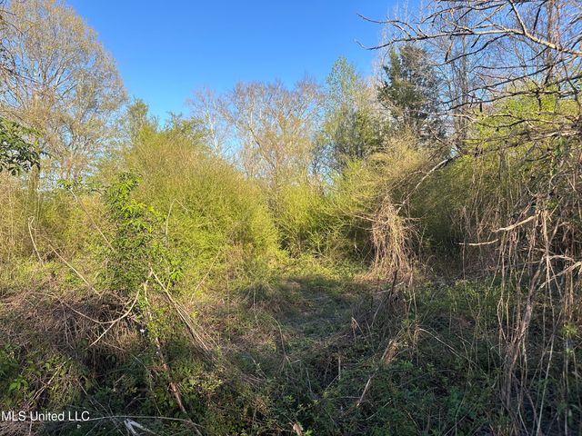 1057 Wesson Game Ln Lane, Wesson, MS 39191