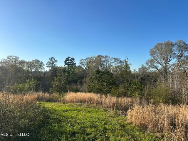 1057 Wesson Game Ln Lane, Wesson, MS 39191