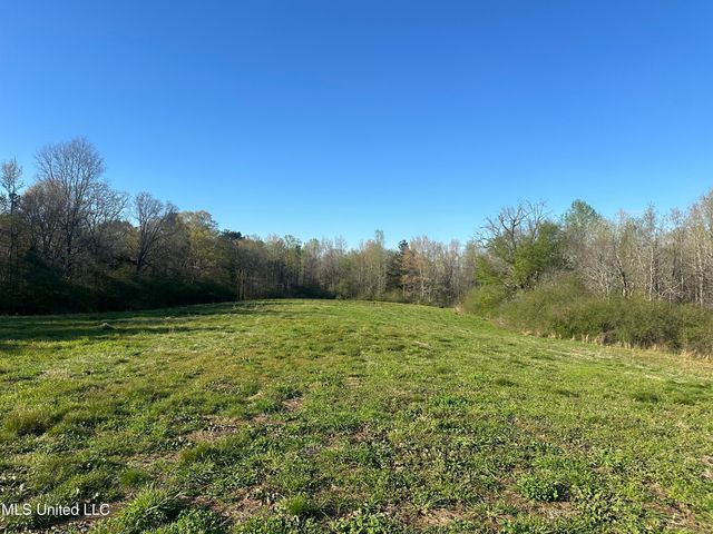 1057 Wesson Game Ln Lane, Wesson, MS 39191