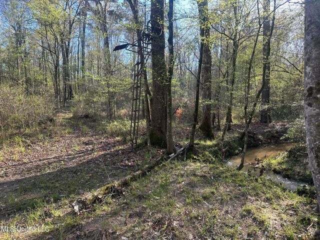 1057 Wesson Game Ln Lane, Wesson, MS 39191