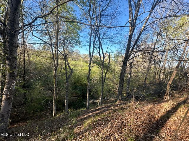 1057 Wesson Game Ln Lane, Wesson, MS 39191