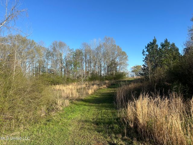 1057 Wesson Game Ln Lane, Wesson, MS 39191