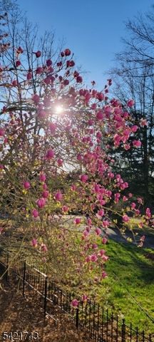 246 Spring Hill Rd, Montgomery Twp., NJ 08558