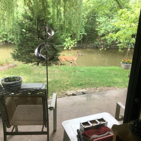 1S055 Spring Road 1C, Oakbrook Terrace, IL 60181