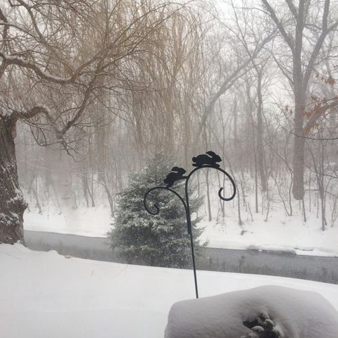 1S055 Spring Road 1C, Oakbrook Terrace, IL 60181