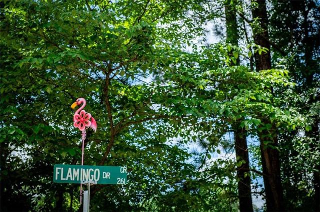 230 Flamingo Dr, Monticello, GA 31064