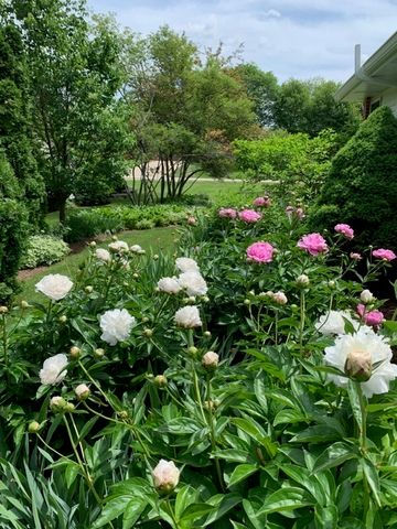 454 Harvard Avenue, Barrington, IL 60010