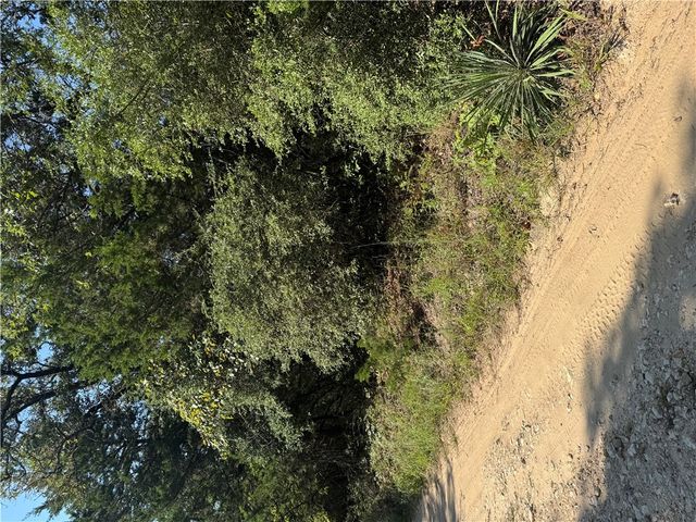 TBD Maple Drive, Caldwell, TX 77836