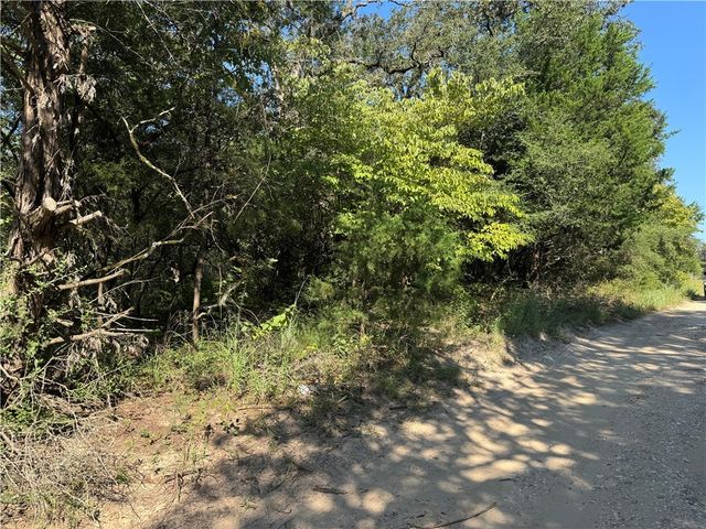 TBD Maple Drive, Caldwell, TX 77836