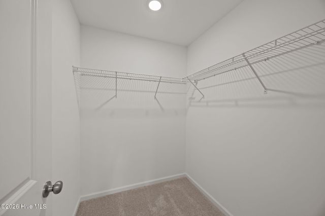 2416 Brookville Drive A, Greenville, NC 27834