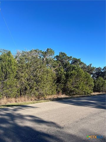 684 Spring Street, Spring Branch, TX 78070