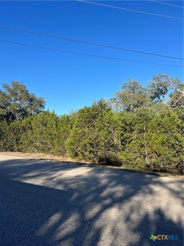 684 Spring Street, Spring Branch, TX 78070