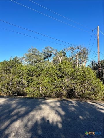 684 Spring Street, Spring Branch, TX 78070