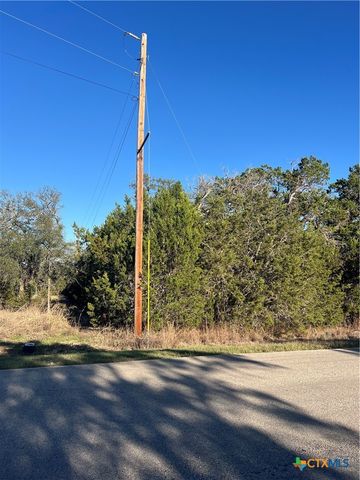 684 Spring Street, Spring Branch, TX 78070