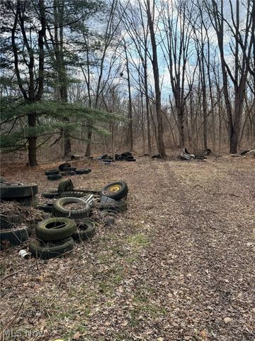 6223 Wayland Road, Ravenna, OH 44266