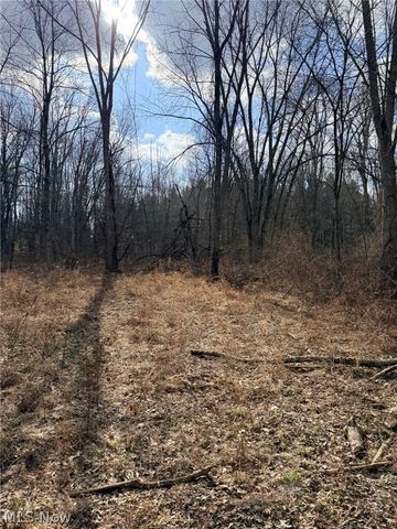 6223 Wayland Road, Ravenna, OH 44266