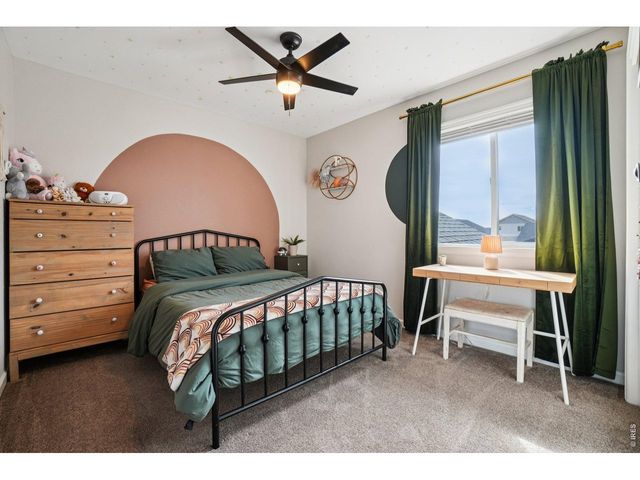 896 S Prairie Dr, Milliken, CO 80543