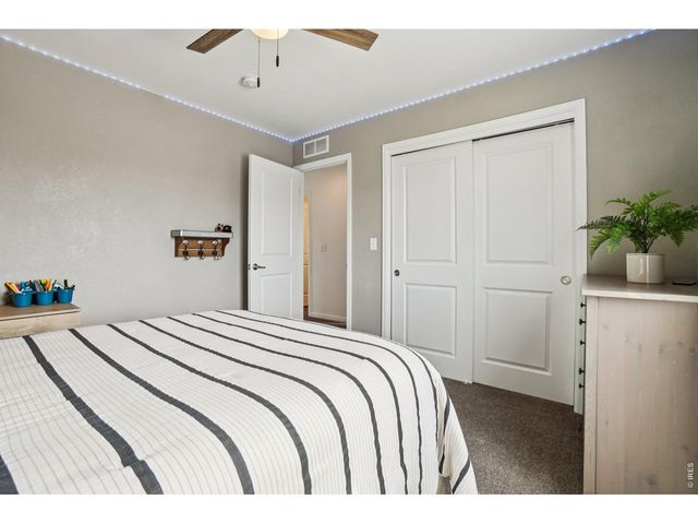 896 S Prairie Dr, Milliken, CO 80543