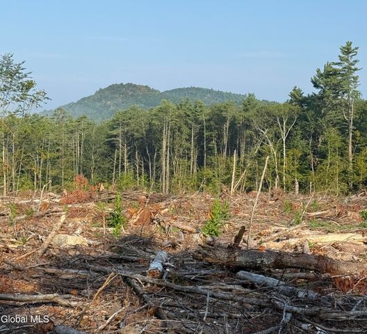 356 Dickinson Hill Road, Bolton, NY 12824