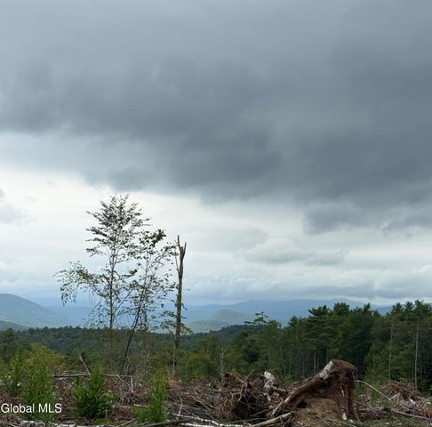 356 Dickinson Hill Road, Bolton, NY 12824