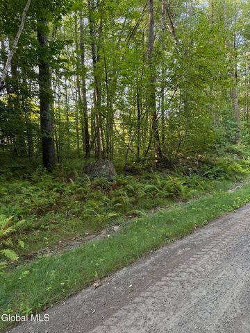 356 Dickinson Hill Road, Bolton, NY 12824