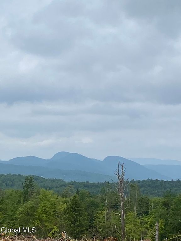 356 Dickinson Hill Road, Bolton, NY 12824