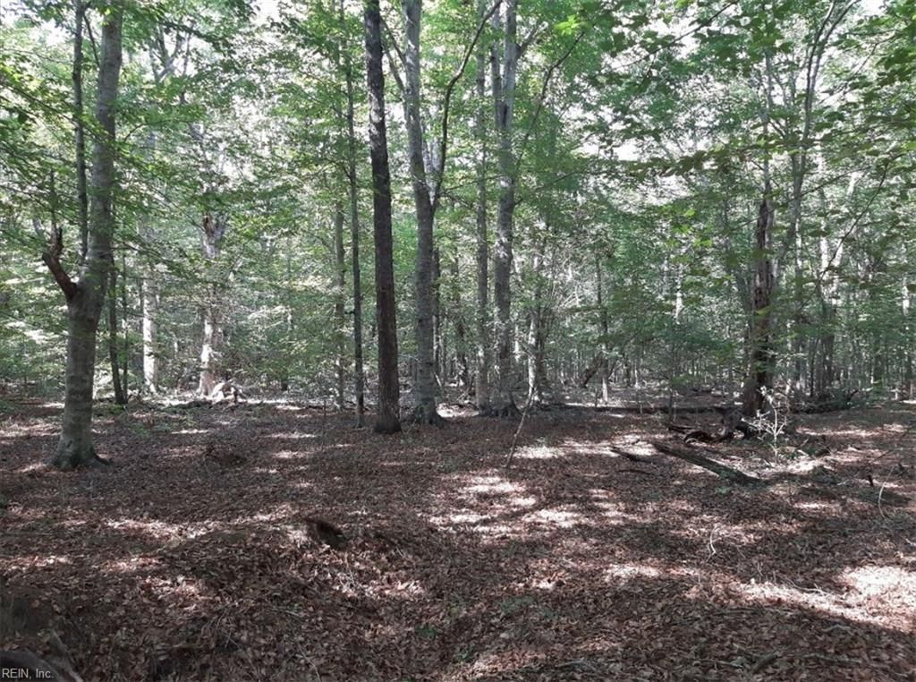 6592 Blackwater RD, Virginia Beach, VA 23457