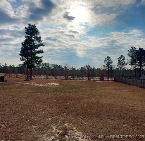 96 Downing Court, Lillington, NC 27546