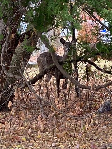 1629 PERNIN STREET, Marinette, WI 54143