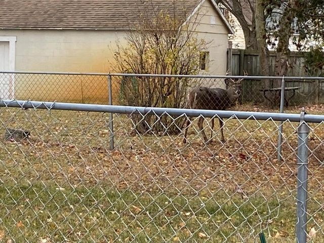 1629 PERNIN STREET, Marinette, WI 54143