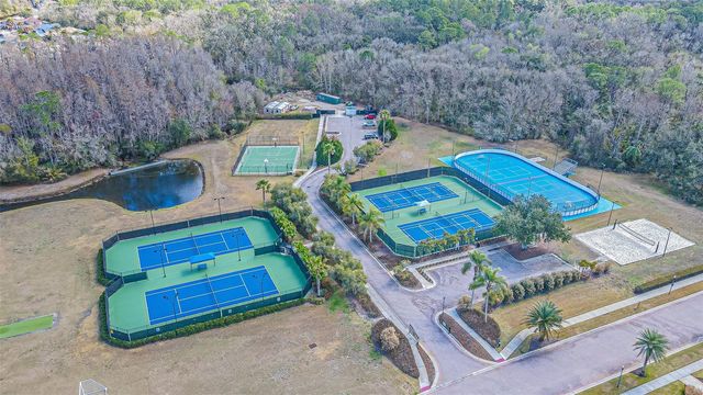 10859 CORY LAKE DRIVE, Tampa, FL 33647