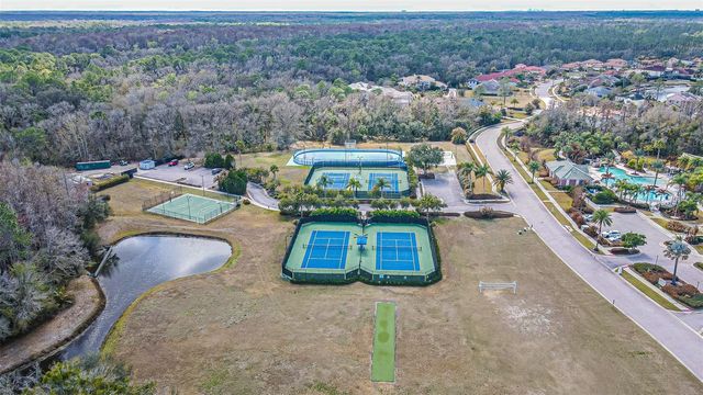 10859 CORY LAKE DRIVE, Tampa, FL 33647