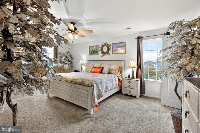 341 TIGER LILY DR, Middletown, DE 19709