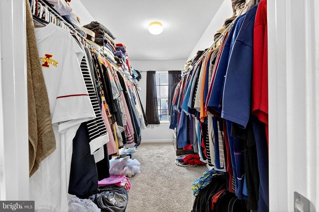 341 TIGER LILY DR, Middletown, DE 19709