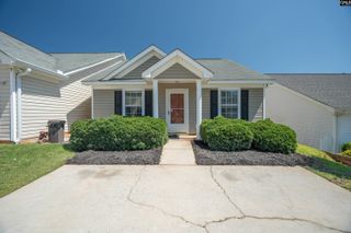 119 W Horn Court, Chapin, SC 29036