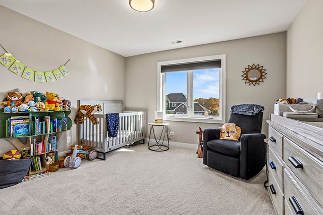 8022 Stanley Trail, Frankfort, IL 60423